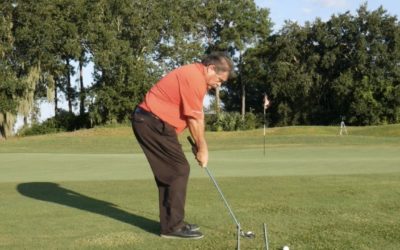 Chip Shot Basics